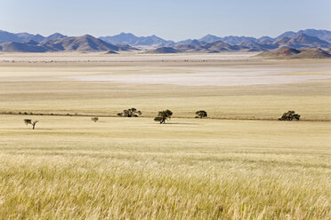 Afrika, Namibia, Namib-Wüste, Tiras-Gebirge, Grasland - FOF00822