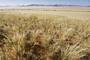 Afrika, Namibia, Namib-Wüste - FOF00821