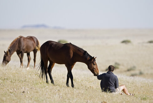 Africa, Namibia, Aus, Tourist and wild horses - FOF00812