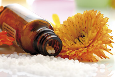 Arzneiflasche mit Tabletten vor Ringelblume ((Calendula officinalis), Nahaufnahme - 08894CS-U