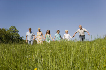 Germany, Baden Württemberg, Tübingen, Three generation family holding hands, walking through meadow - WESTF08957