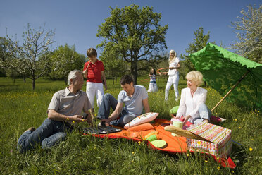 Deutschland, Baden Württemberg, Tübingen, Drei-Generationen-Familie beim Picknick auf der Wiese - WESTF08945