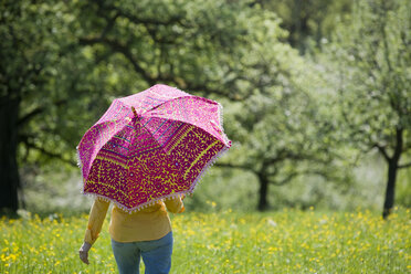 Deutschland, Baden Württemberg, Tübingen, Frau mit Regenschirm in Wiese, Rückansicht - WESTF08902