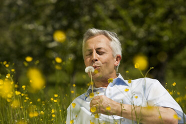 Germany, Baden Württemberg,Tübingen, Senior man holding dandelion flower, eyes closed, portrait - WESTF08884