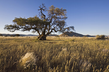 Africa, Namibia, Landscape - FOF00880