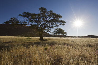 Afrika, Namibia, Landschaft - FOF00879