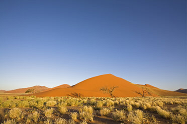 Africa, Namibia, Landscape with trees and Sand dunes - FOF01025