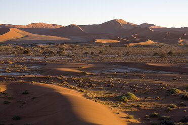 Africa, Namibia, Sossusvlei, Sand dunes - FOF01018