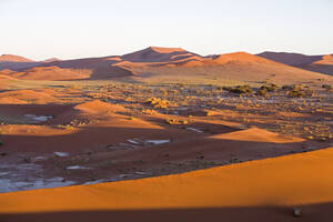 Afrika, Namibia, Sossusvlei, Sanddünen - FOF01017