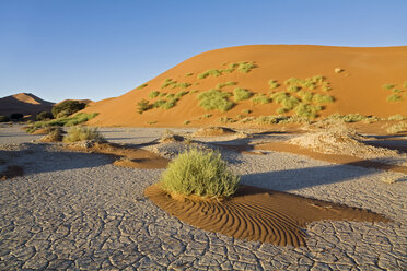 Africa, Namibia, Narravlei, Sand dunes - FOF01015