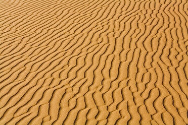 Africa, Namibia, Namib Desert, Dune structure, full frame - FOF01012