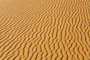 Afrika, Namibia, Namib-Wüste, Dünenstruktur, Vollbild - FOF01012