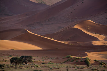 Afrika, Namibia, Sossusvlei, Sanddünen - FOF01002