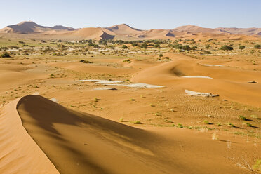 Afrika, Namibia, Sossusvlei, Sanddünen - FOF00989