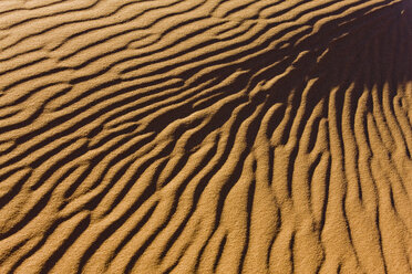 Afrika, Namibia, Namib-Wüste, Dünenstrukturen, Vollbild - FOF00980