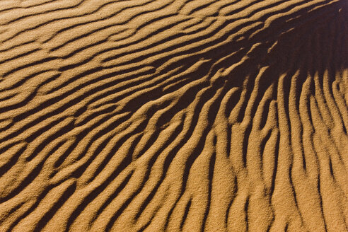 Afrika, Namibia, Namib-Wüste, Dünenstrukturen, Vollbild - FOF00980