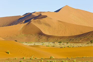 Afrika, Namibia, Sossusvlei, Sanddünen in der Namib-Wüste - FOF00979