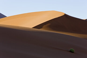 Afrika, Namibia, Sossusvlei, Sanddünen - FOF00977