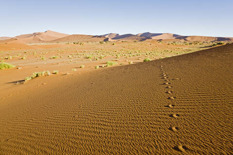 Afrika, Namibia, Namib-Wüste, Tierspuren, lizenzfreies Stockfoto