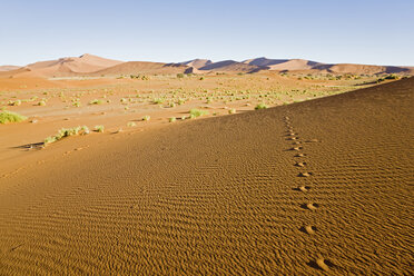 Afrika, Namibia, Namib-Wüste, Tierspuren - FOF00976