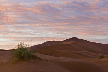 Afrika, Namibia, Sossuvlei, Sanddünen - FOF00957