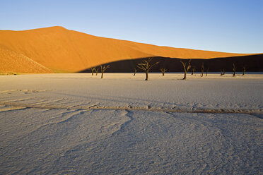 Afrika, Namibia, Tote Bäume in der Wüste - FOF00956