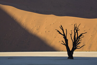 Afrika, Namibia, Deadvlei, Tote Bäume - FO01048