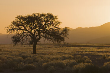 Africa, Namibia, Tsauchab River, Landscape at sunset - FO01045