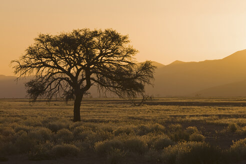 Afrika, Namibia, Tsauchab River, Landschaft bei Sonnenuntergang - FO01045