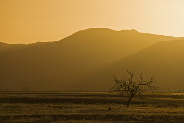 Afrika, Namibia, Tsauchab River, Landschaft bei Sonnenuntergang - FO01044