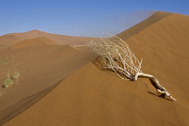 Afrika, Namibia, Sossusvlei, Wüstenlandschaft - FO01042