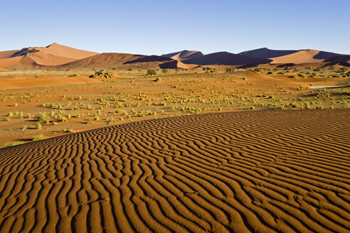 Afrika, Namibia, Sossusvlei, Wüstenlandschaft - FO01036