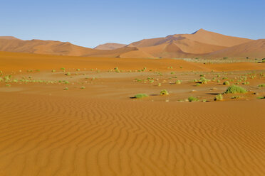 Africa, Namibia, Sossusvlei, Desert landscape - FO01033