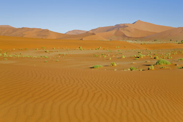 Afrika, Namibia, Sossusvlei, Wüstenlandschaft - FO01033