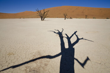 Afrika, Namibia, Deadvlei, Tote Bäume - FO01030