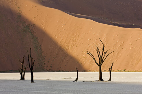Afrika, Namibia, Deadvlei, Tote Bäume - FO01029