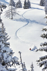 Austria, Tyrol, Kitzbühel, Pass Thurn, Freeride, Man skiing downhill - FFF00928