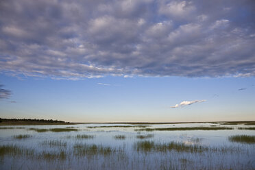 Africa, Namibia, Etosha National Park, Lake and clouds - FOF01127