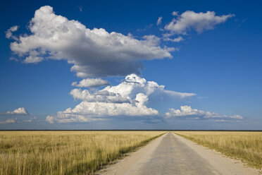 Afrika, Namibia, Etosha-Nationalpark, Straße - FOF01125