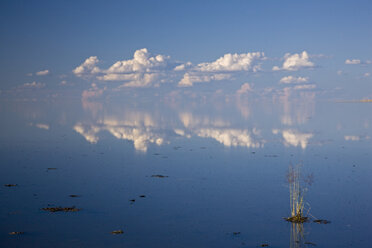 Afrika, Namibia, Etosha-Nationalpark, See - FOF01121