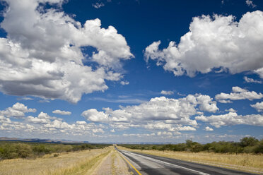 Africa, Namibia, Etosha National Park, Road - FOF01120