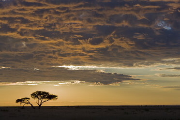 Afrika, Namibia, Etosha-Nationalpark, Sonnenuntergang - FOF01094