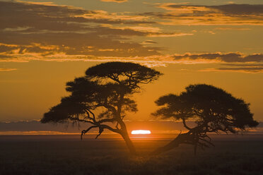 Afrika, Namibia, Etosha-Nationalpark, Sonnenuntergang - FOF01093