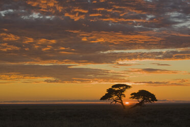 Afrika, Namibia, Etosha-Nationalpark, Sonnenuntergang - FOF01092