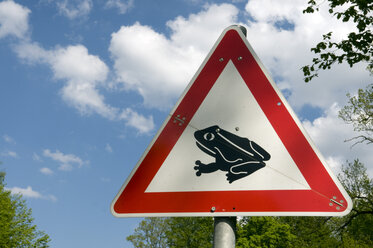 Germany, Sign, Toad migration, close-up - AWDF00023