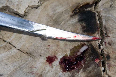 Blutiges Messer, Ansicht von oben - AWDF00017
