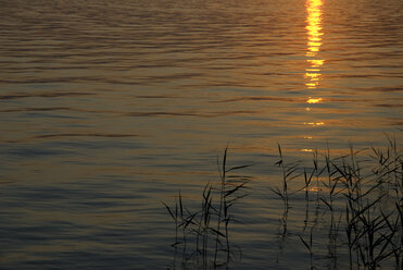 Deutschland, Bodensee bei Sonnenuntergang - AWDF00004