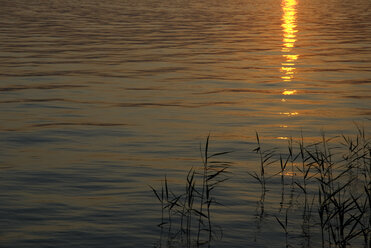 Germany, Lake Constance at sunset - AWDF00004
