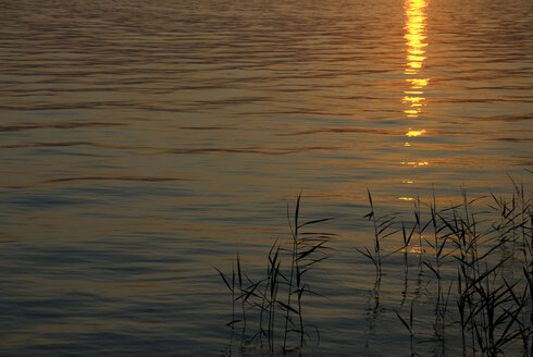 Deutschland, Bodensee bei Sonnenuntergang - AWDF00004