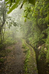 Portugal, Madeira, Levada, traditionelle Kanalbewässerung - GA00092